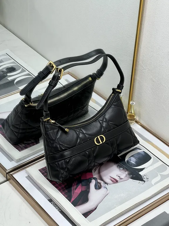 Dior Bag 